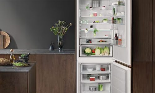 Distribuzione Elettrodomestici AEG
